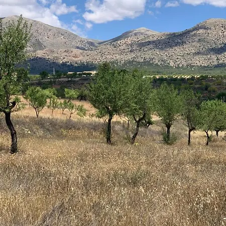Cortijo Frankie Chirivel
